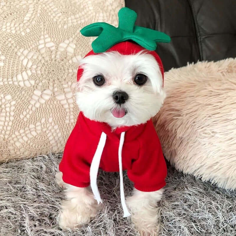 Dog wearing Adorable Cartoon Dog & Cat Shirt
