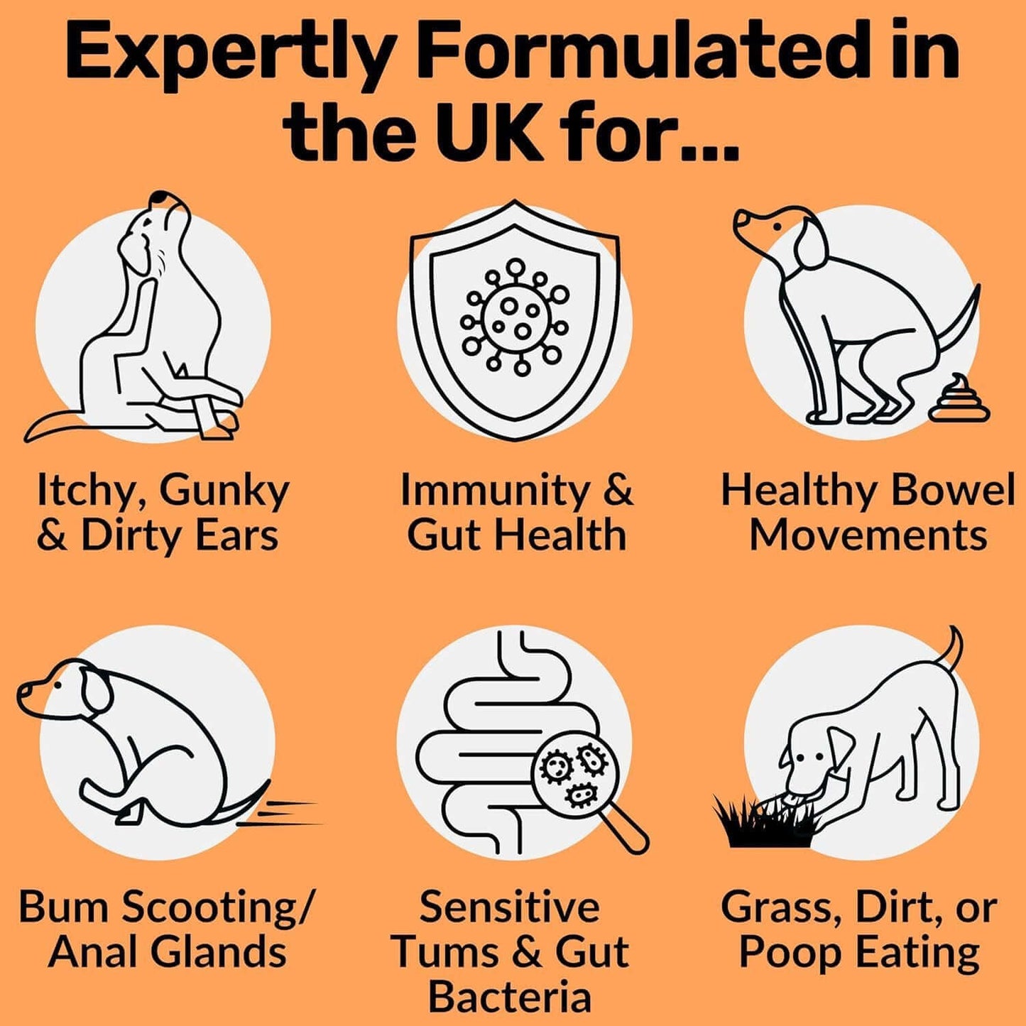 Dog Prebiotics Digestive Snacks Natural Ingredients